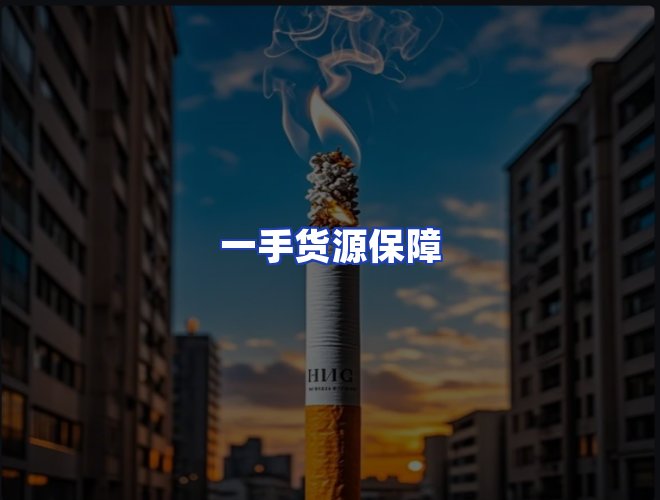 专业团队